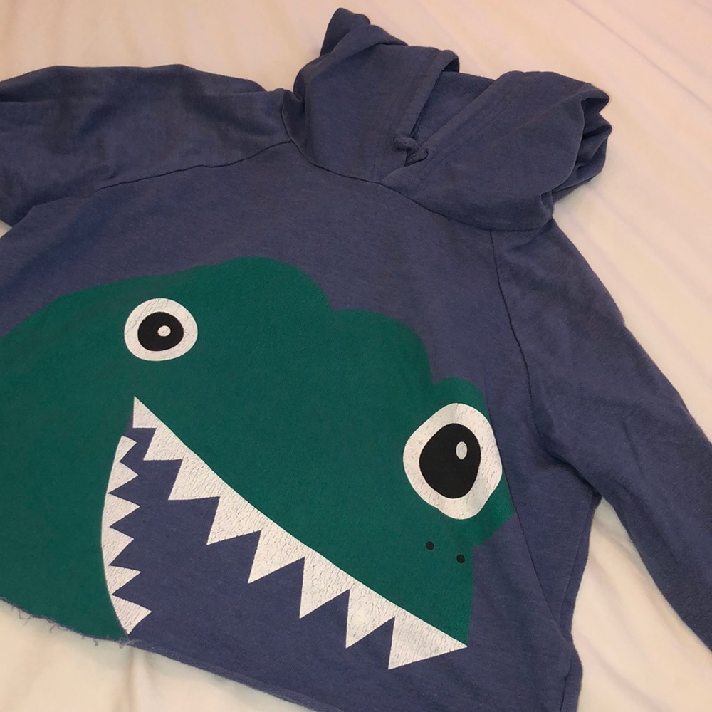 dinasour hoodie